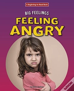 Capa do artigo Feeling Angry