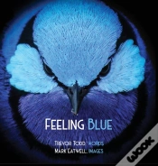 Capa do artigo Feeling Blue
