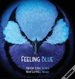 Capa do artigo Feeling Blue