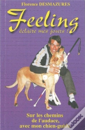 Capa do artigo Feeling, Éclaire Mes Jours ! Sur Les Chemins De L