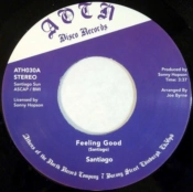 Capa do artigo Feeling Good - Vinil