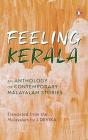 Feeling Kerala - Preview