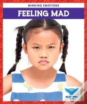 Capa do artigo Feeling Mad