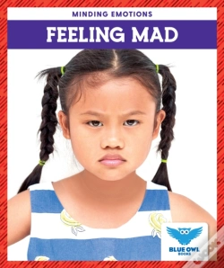 Capa do artigo Feeling Mad