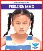 Feeling Mad - Preview
