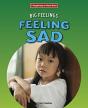 Feeling Sad - Preview