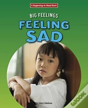 Capa do artigo Feeling Sad
