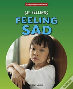 Capa do artigo Feeling Sad