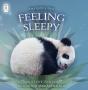 Feeling Sleepy - Preview