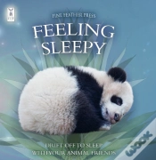 Capa do artigo Feeling Sleepy