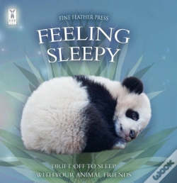 Capa do artigo Feeling Sleepy