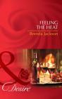 Feeling The Heat - Preview