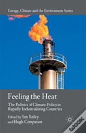 Capa do artigo Feeling The Heat