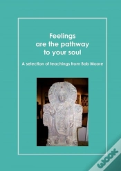 Capa do artigo Feelings Are The Pathway To Your Soul