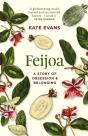 Feijoa - Preview