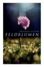 Feldblumen - Preview