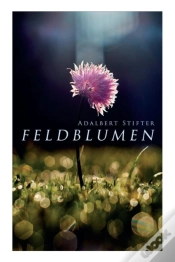 Capa do artigo Feldblumen