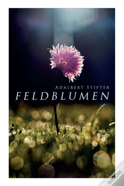 Capa do artigo Feldblumen