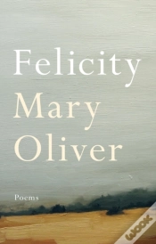 Capa do artigo Felicity