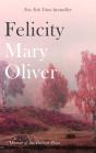 Felicity - Preview