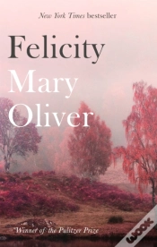 Capa do artigo Felicity
