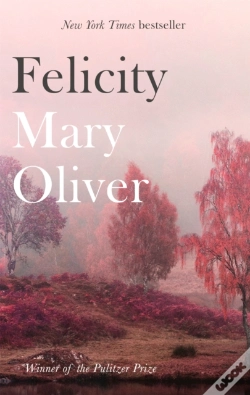 Capa do artigo Felicity