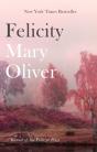Felicity - Preview