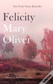 Capa do artigo Felicity
