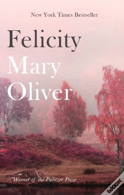 Capa do artigo Felicity