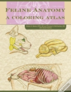 Capa do artigo Feline Anatomy