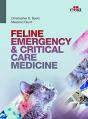 Feline Emergency & Critical Care Medicine - Preview