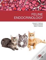 Feline Endocrinology