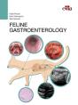 Feline Gastroenterology - Preview