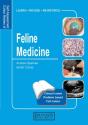Feline Medicine - Preview
