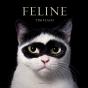 Feline - Preview