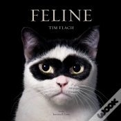 Capa do artigo Feline