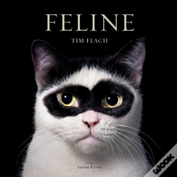 Capa do artigo Feline
