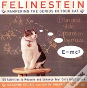Capa do artigo Felinestein