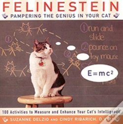 Capa do artigo Felinestein