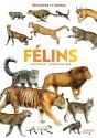 Félins - Preview