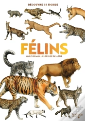Capa do artigo Félins