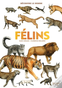 Capa do artigo Félins