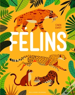 Capa do artigo Felins