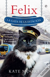 Capa do artigo Felix