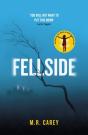 Fellside - Preview