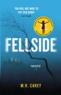 Fellside - Preview