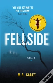 Capa do artigo Fellside