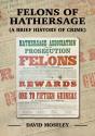 Felons Of Hathersage - Preview