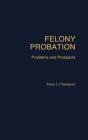 Felony Probation - Preview