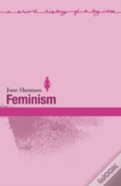 Capa do artigo Feminism